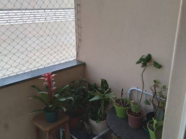 #1570 - Apartamento para Venda em Indaiatuba - SP - 2