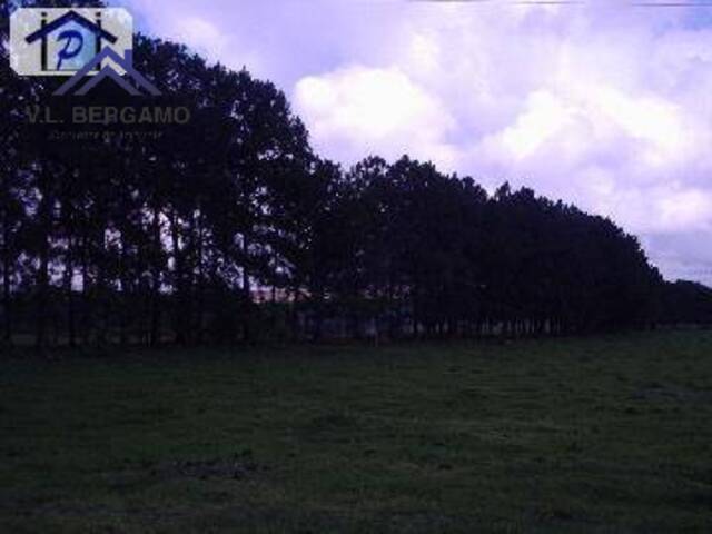 Sítio para Venda em Indaiatuba - 4